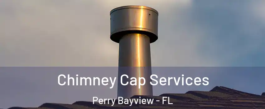 Chimney Cap Services Perry Bayview - FL