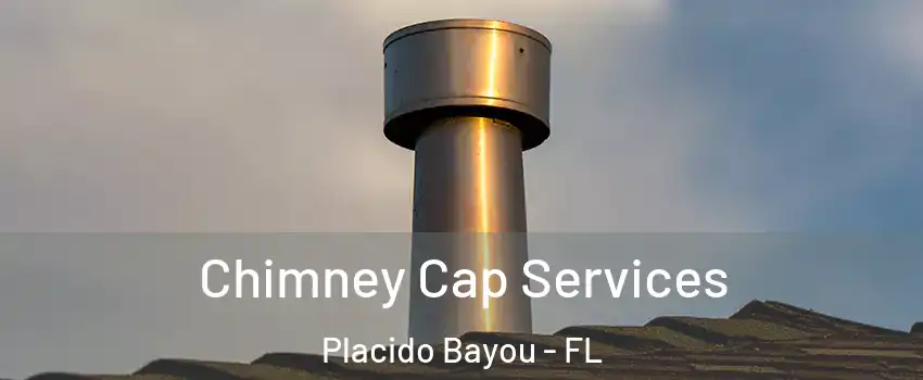 Chimney Cap Services Placido Bayou - FL