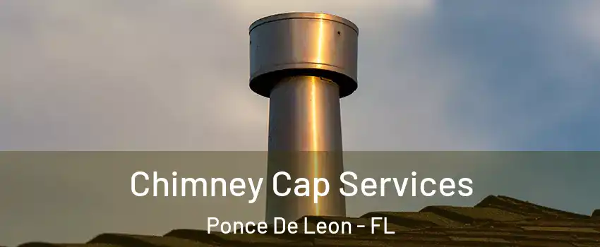 Chimney Cap Services Ponce De Leon - FL