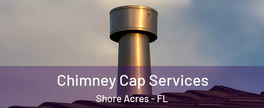 Chimney Cap Services Shore Acres - FL