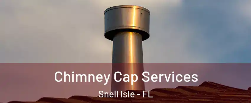Chimney Cap Services Snell Isle - FL