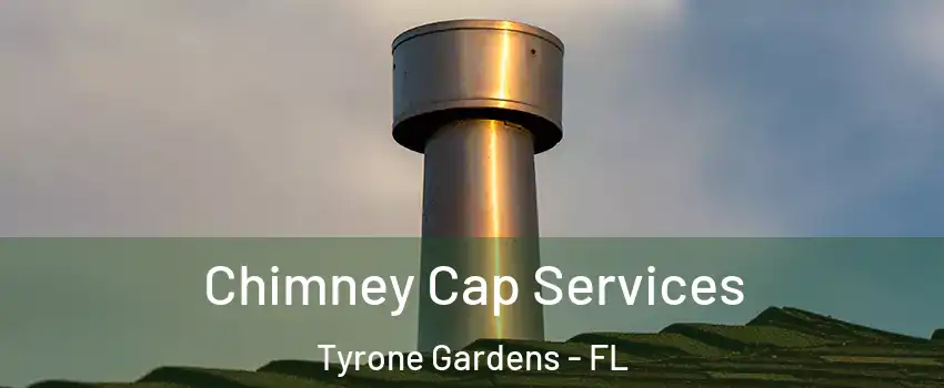 Chimney Cap Services Tyrone Gardens - FL
