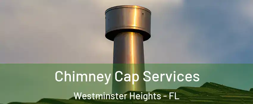 Chimney Cap Services Westminster Heights - FL
