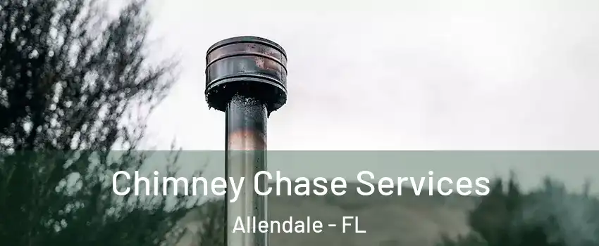 Chimney Chase Services Allendale - FL
