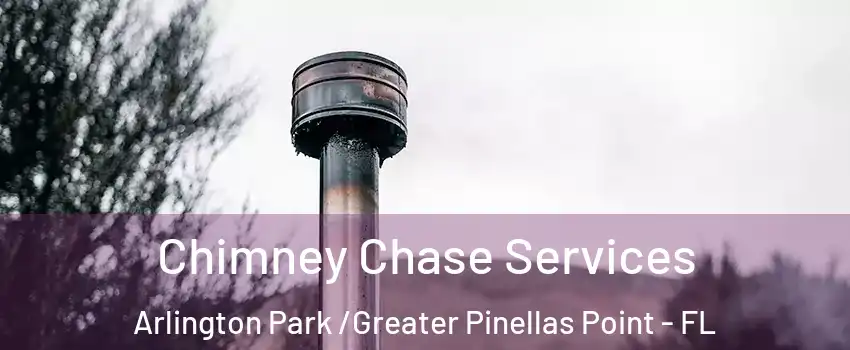 Chimney Chase Services Arlington Park /Greater Pinellas Point - FL