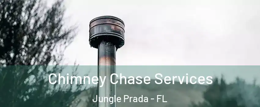 Chimney Chase Services Jungle Prada - FL
