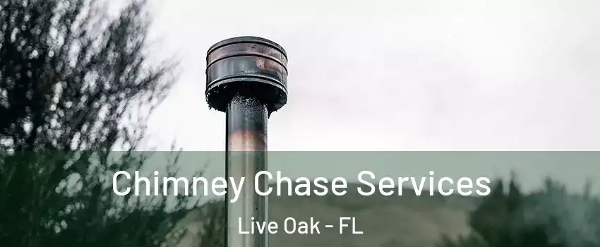 Chimney Chase Services Live Oak - FL