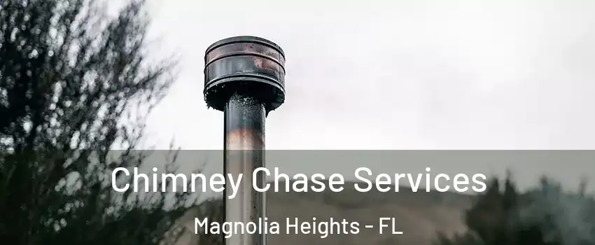 Chimney Chase Services Magnolia Heights - FL