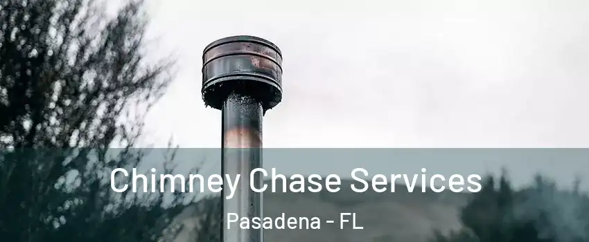 Chimney Chase Services Pasadena - FL