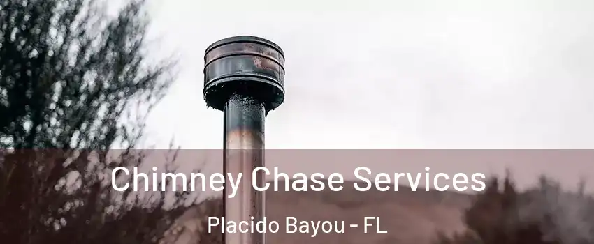 Chimney Chase Services Placido Bayou - FL