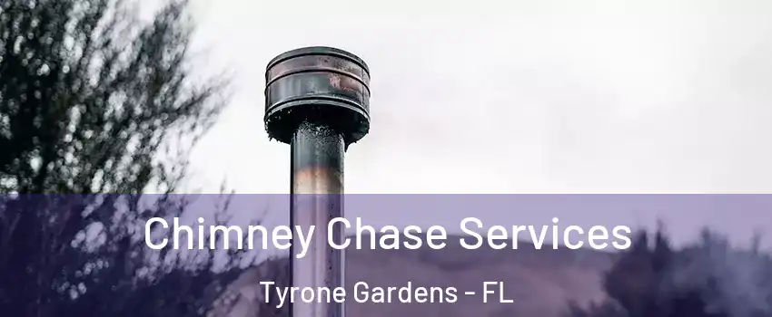Chimney Chase Services Tyrone Gardens - FL