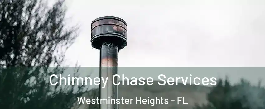 Chimney Chase Services Westminster Heights - FL