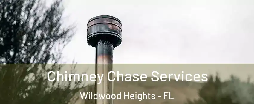 Chimney Chase Services Wildwood Heights - FL