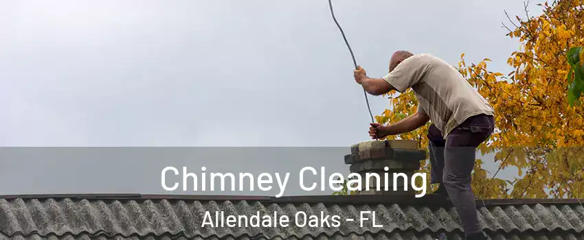 Chimney Cleaning Allendale Oaks - FL