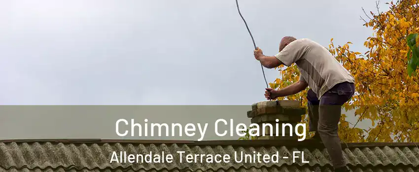 Chimney Cleaning Allendale Terrace United - FL