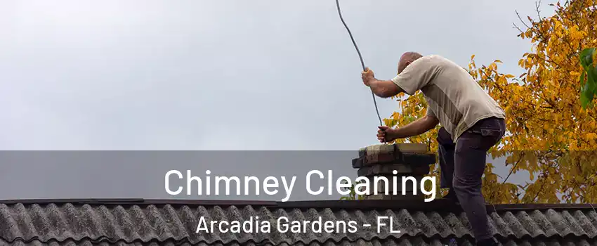 Chimney Cleaning Arcadia Gardens - FL