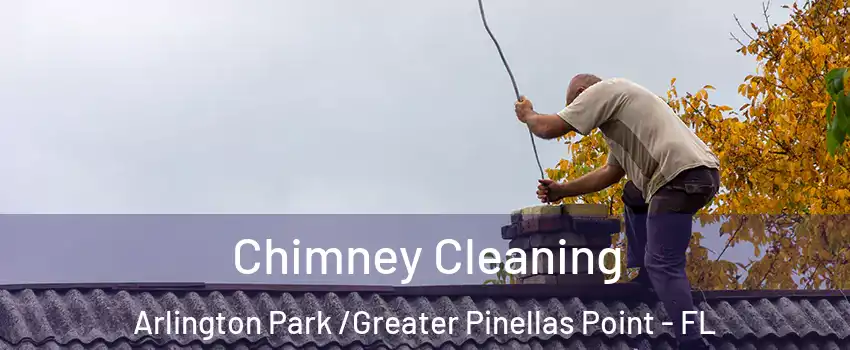 Chimney Cleaning Arlington Park /Greater Pinellas Point - FL