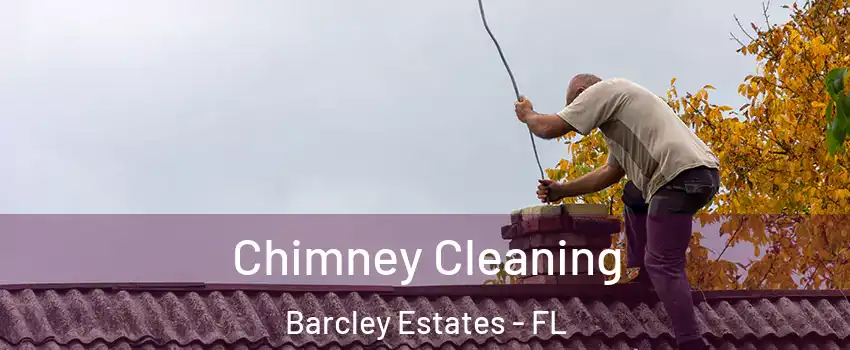 Chimney Cleaning Barcley Estates - FL