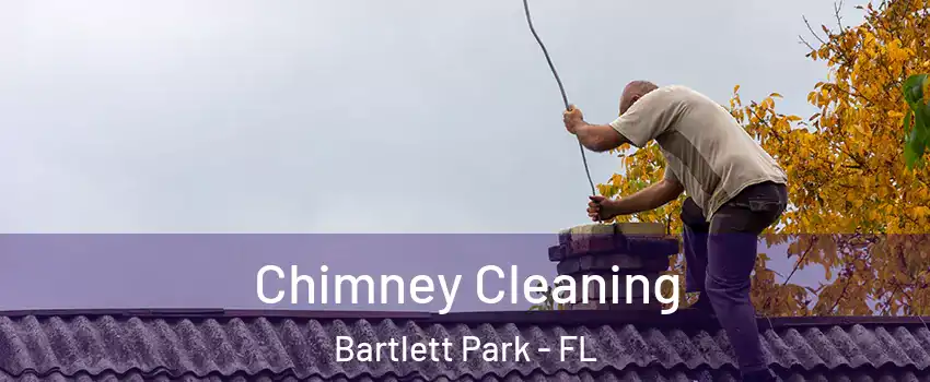 Chimney Cleaning Bartlett Park - FL