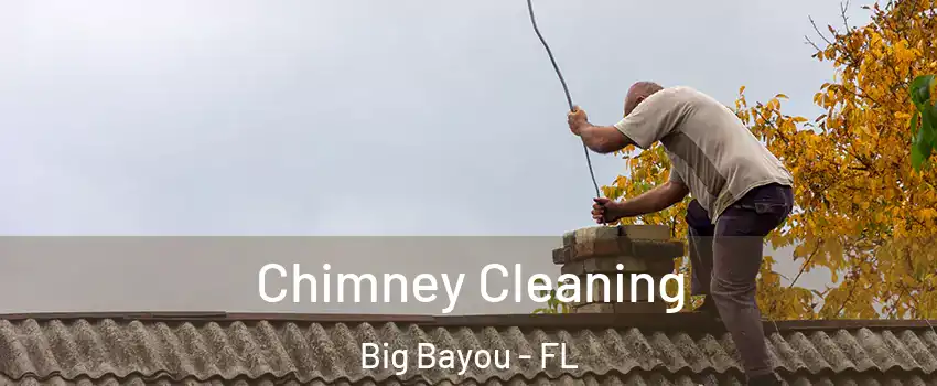 Chimney Cleaning Big Bayou - FL