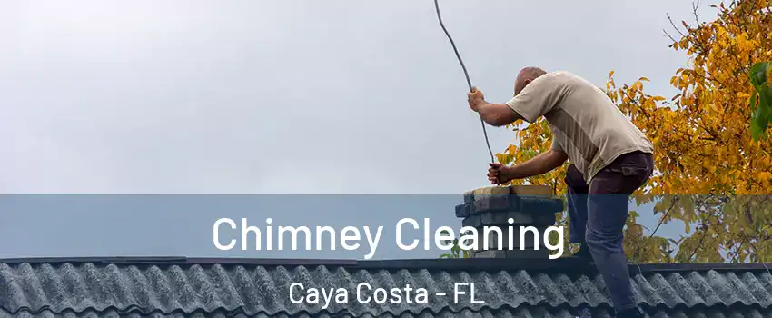 Chimney Cleaning Caya Costa - FL