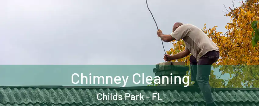 Chimney Cleaning Childs Park - FL