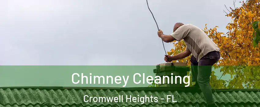 Chimney Cleaning Cromwell Heights - FL