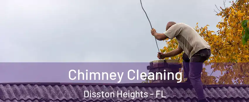 Chimney Cleaning Disston Heights - FL