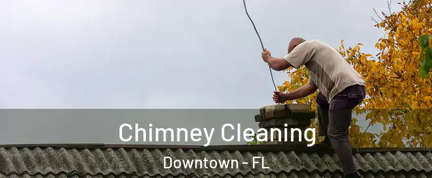 Chimney Cleaning Downtown - FL