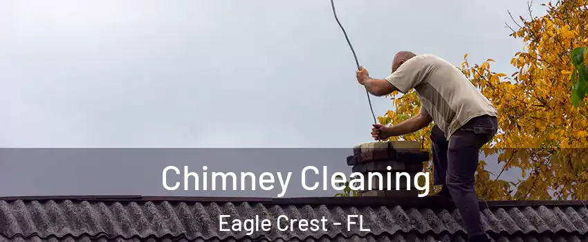 Chimney Cleaning Eagle Crest - FL