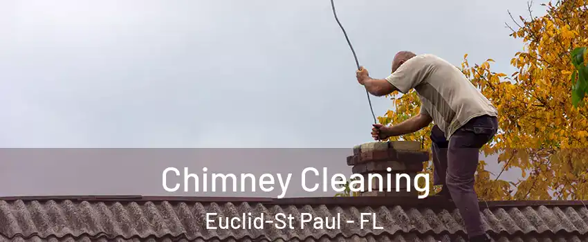 Chimney Cleaning Euclid-St Paul - FL