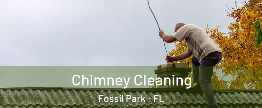 Chimney Cleaning Fossil Park - FL