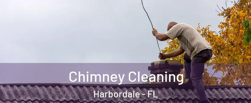 Chimney Cleaning Harbordale - FL