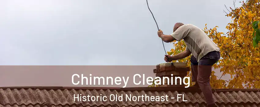 Chimney Cleaning Historic Old Northeast - FL
