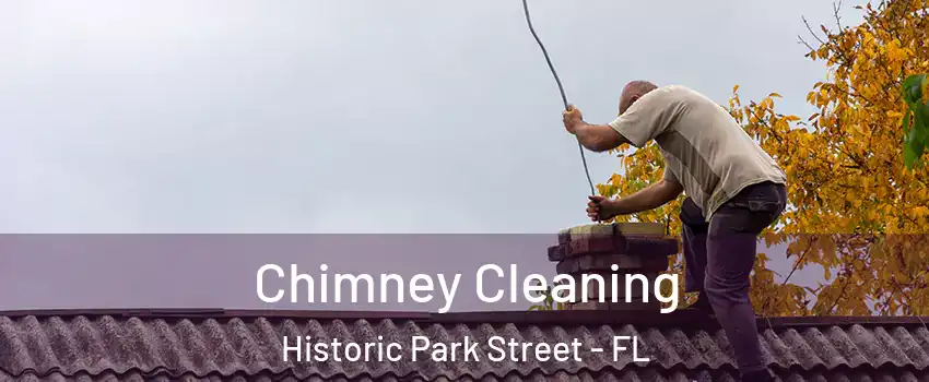Chimney Cleaning Historic Park Street - FL
