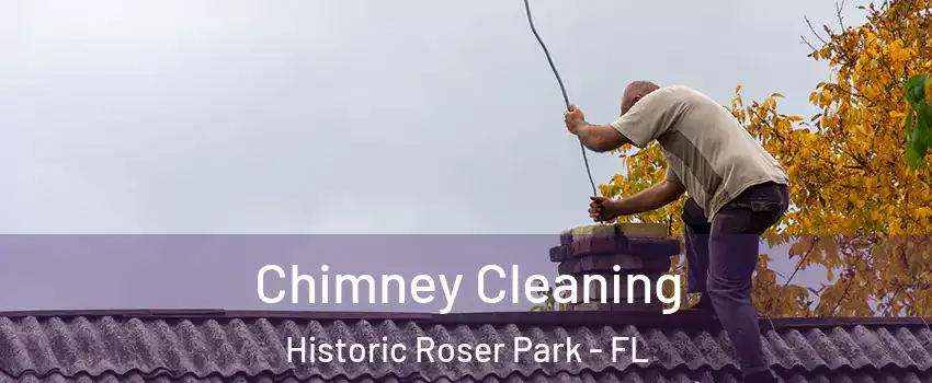 Chimney Cleaning Historic Roser Park - FL