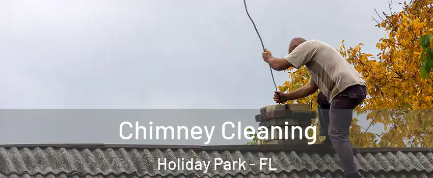 Chimney Cleaning Holiday Park - FL