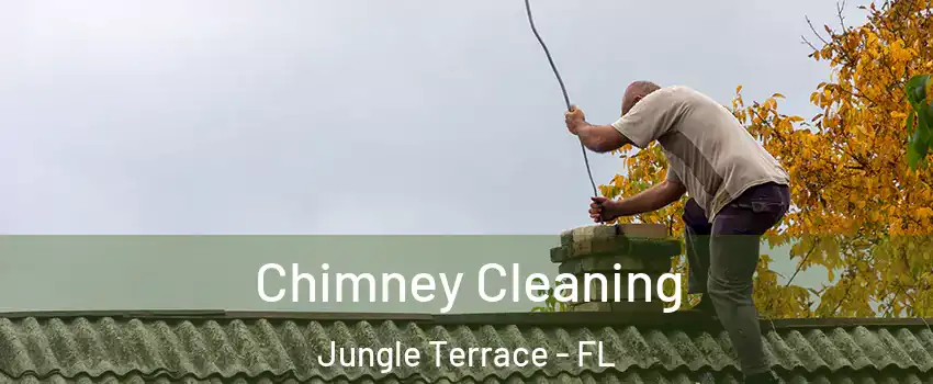 Chimney Cleaning Jungle Terrace - FL