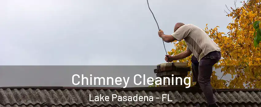 Chimney Cleaning Lake Pasadena - FL