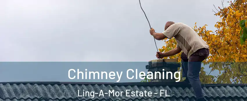 Chimney Cleaning Ling-A-Mor Estate - FL