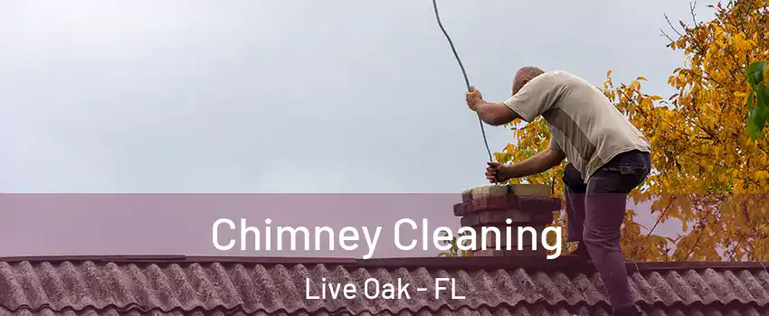 Chimney Cleaning Live Oak - FL