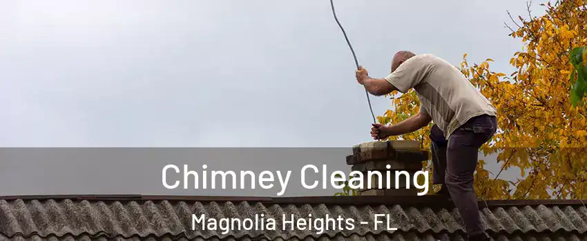 Chimney Cleaning Magnolia Heights - FL
