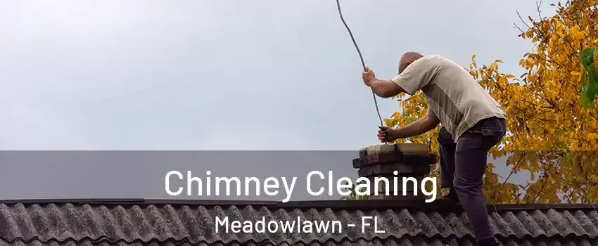 Chimney Cleaning Meadowlawn - FL