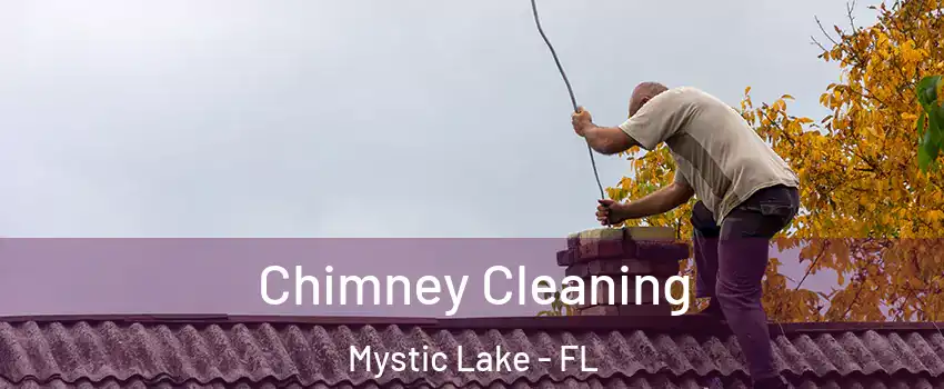 Chimney Cleaning Mystic Lake - FL