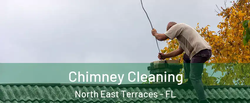 Chimney Cleaning North East Terraces - FL