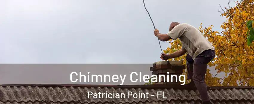 Chimney Cleaning Patrician Point - FL