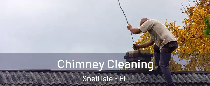Chimney Cleaning Snell Isle - FL
