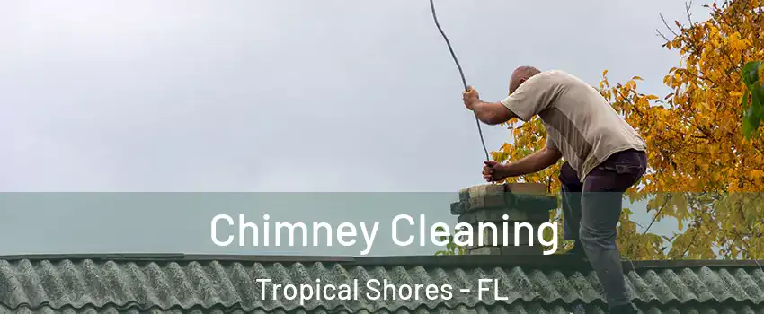 Chimney Cleaning Tropical Shores - FL
