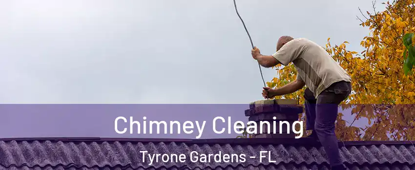Chimney Cleaning Tyrone Gardens - FL