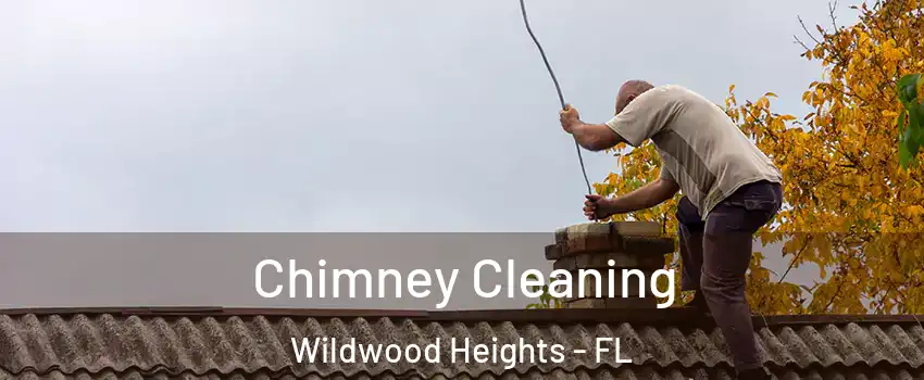 Chimney Cleaning Wildwood Heights - FL
